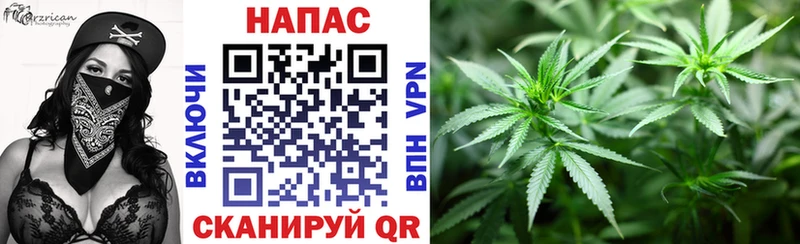 Продажа наркотиков Пересвет КОКАИН  Гашиш  Каннабис 