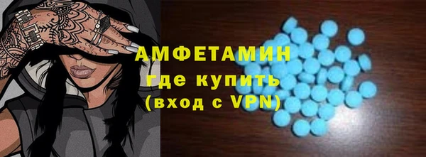 индика Няндома